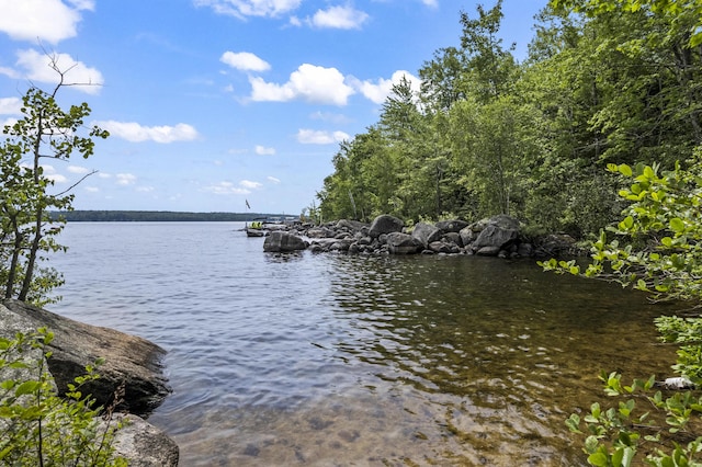 189 Ridge Rd, Frye Island, ME 04071 - photo 42