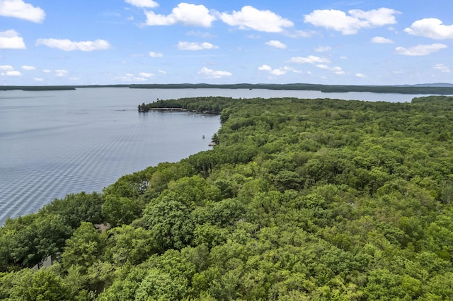 189 Ridge Rd, Frye Island, ME 04071 - photo 45