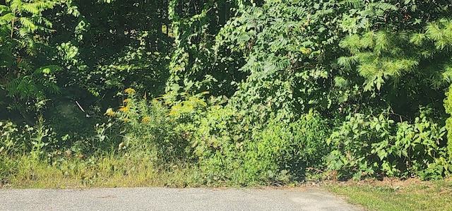 G28-4 Grammar St, Sanford, ME 04073 - photo 2