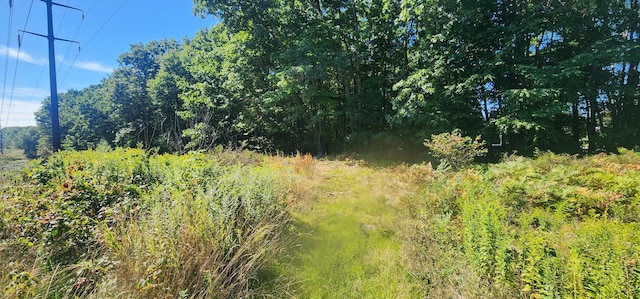 G28-4 Grammar St, Sanford, ME 04073 - photo 4