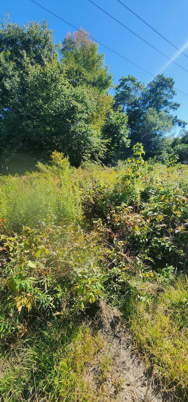 G28-4 Grammar St, Sanford, ME 04073 - photo 6