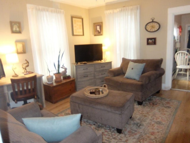 175 Alfred St, Biddeford, ME 04005 - living room with light wood finished floors