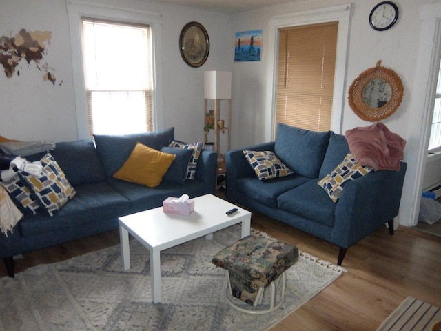 175 Alfred St, Biddeford, ME 04005 - living room featuring wood finished floors
