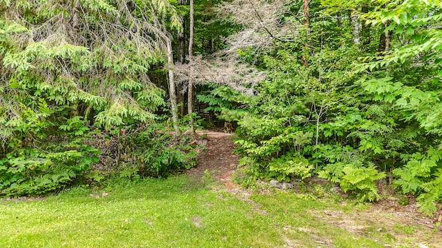 88 High St, West Paris, ME 04289 - photo 36