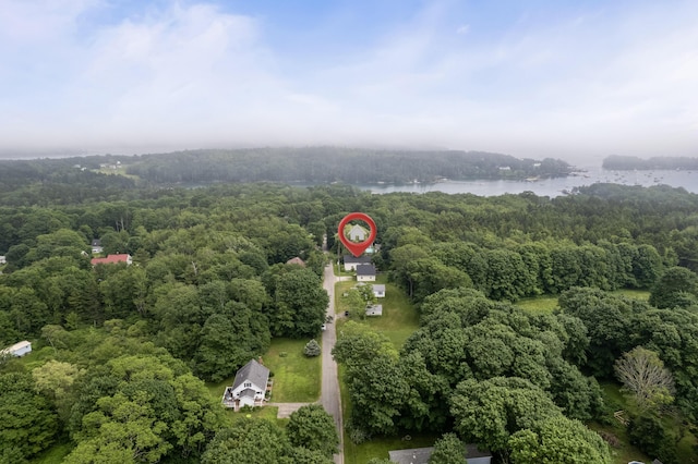 23 Cottage Dr, Friendship, ME 04547 - view of property location with a forest and a nearby body of water