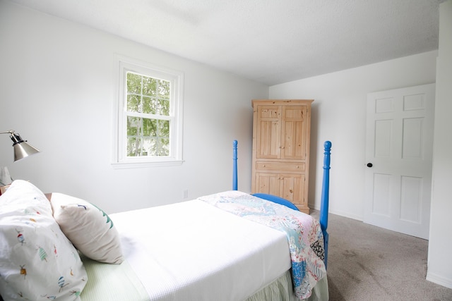 48 Clover Ln, Brewer, ME 04412 - view of carpeted bedroom