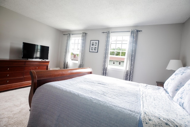 48 Clover Ln, Brewer, ME 04412 - carpeted bedroom with multiple windows and a textured ceiling