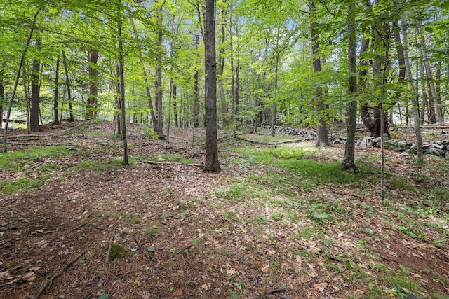 17 Summit St, Ogunquit, ME 03907 - view of wooded area