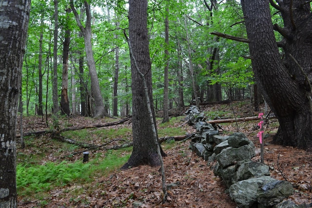 17 Summit St, Ogunquit, ME 03907 - view of tree filled area
