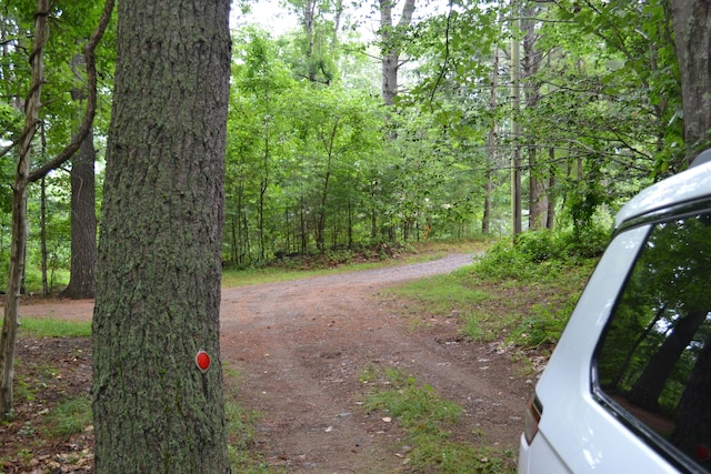 17 Summit St, Ogunquit, ME 03907 - view of dirt / gravel road featuring a forest view
