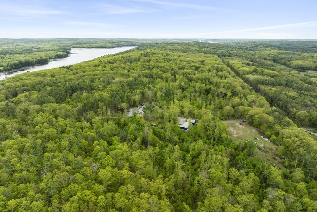85 Lions Ridge Rd, Alna, ME 04535 - bird's eye view of a forest and a nearby body of water