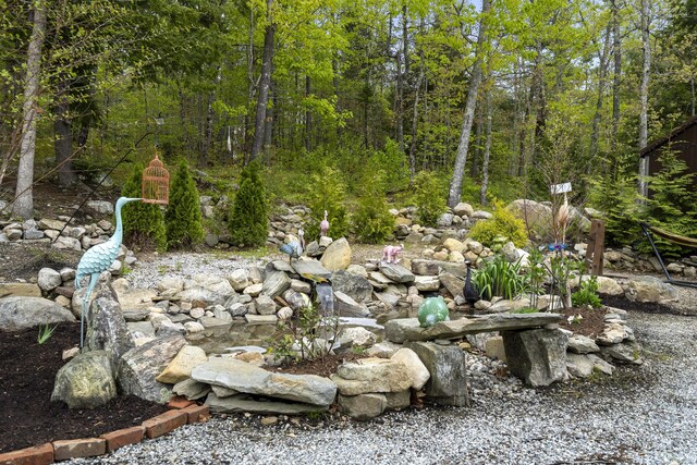 85 Lions Ridge Rd, Alna, ME 04535 - view of yard