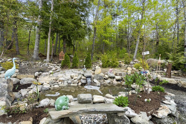 85 Lions Ridge Rd, Alna, ME 04535 - view of yard