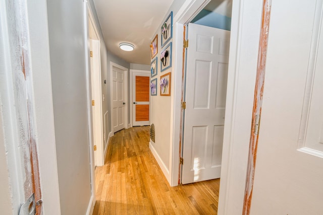 48 Griffin Ave, Hampden, ME 04444 - hallway featuring light wood-style floors