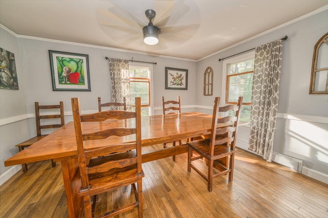 48 Griffin Ave, Hampden, ME 04444 - dining space featuring a ceiling fan, plenty of natural light, light wood-type flooring, and crown molding