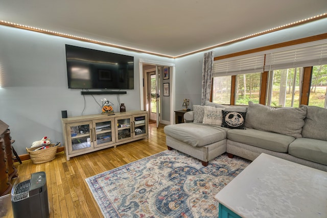 48 Griffin Ave, Hampden, ME 04444 - living room with hardwood / wood-style floors