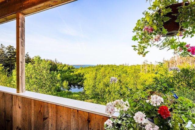 83 N Rd, Matinicus Isle Plt, ME 04851 - photo 9