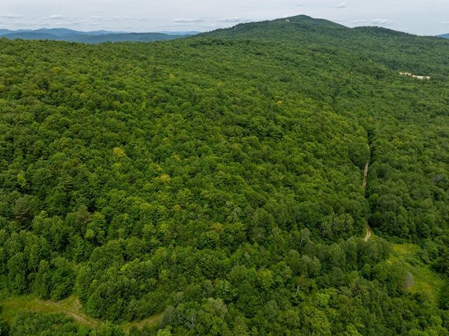 MAP10 Dow Brook Rd, Peru, ME 04290 - photo 1
