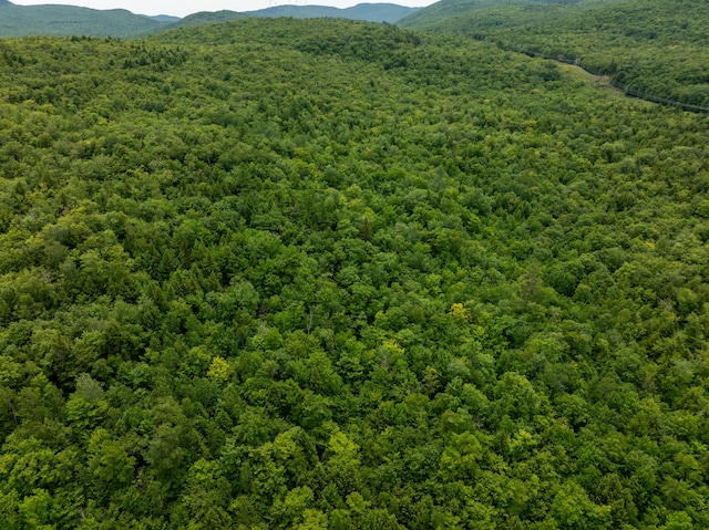 MAP10 Dow Brook Rd, Peru, ME 04290 - photo 2