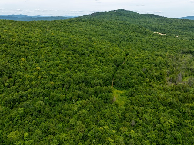 MAP10 Dow Brook Rd, Peru, ME 04290 - photo 3
