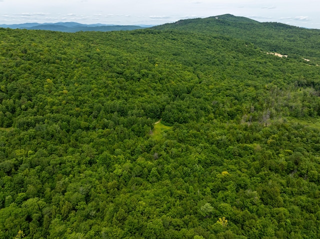 MAP10 Dow Brook Rd, Peru, ME 04290 - photo 4