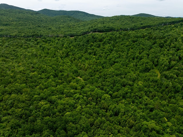 MAP10 Dow Brook Rd, Peru, ME 04290 - photo 5