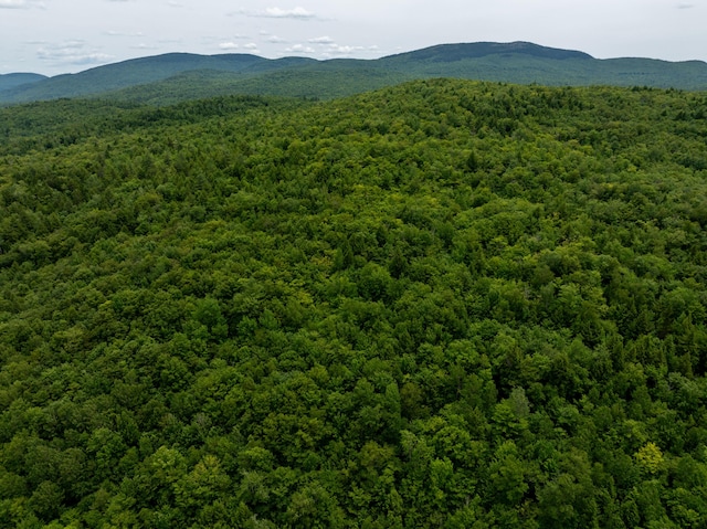 MAP10 Dow Brook Rd, Peru, ME 04290 - photo 6