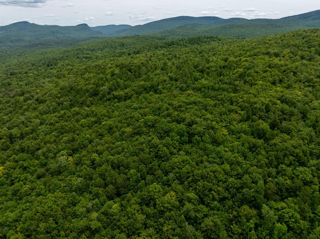 MAP10 Dow Brook Rd, Peru, ME 04290 - photo 7