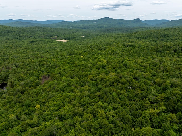 MAP10 Dow Brook Rd, Peru, ME 04290 - photo 9