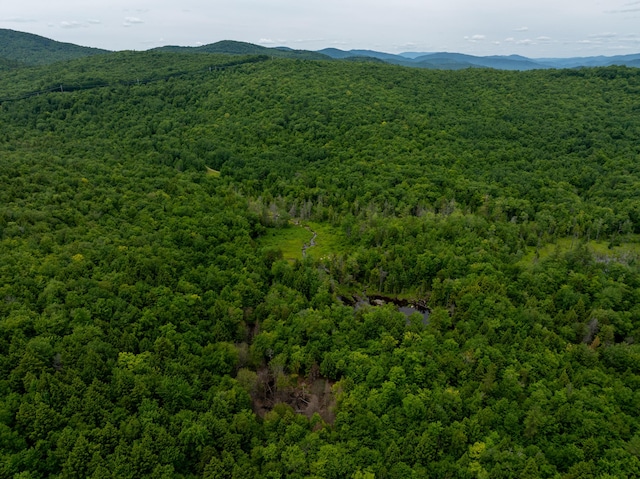 MAP10 Dow Brook Rd, Peru, ME 04290 - photo 11