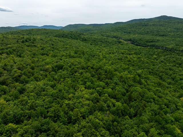 MAP10 Dow Brook Rd, Peru, ME 04290 - photo 12