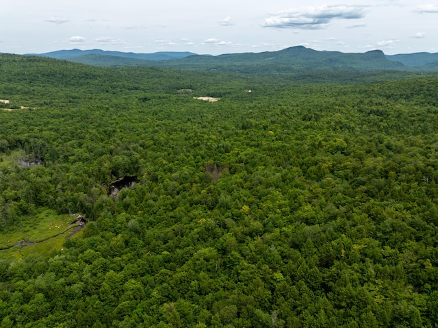 MAP10 Dow Brook Rd, Peru, ME 04290 - photo 13