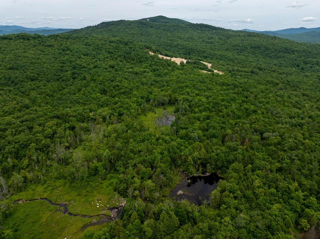 MAP10 Dow Brook Rd, Peru, ME 04290 - photo 14