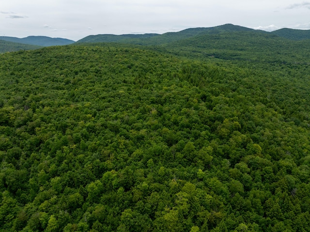 MAP10 Dow Brook Rd, Peru, ME 04290 - photo 15
