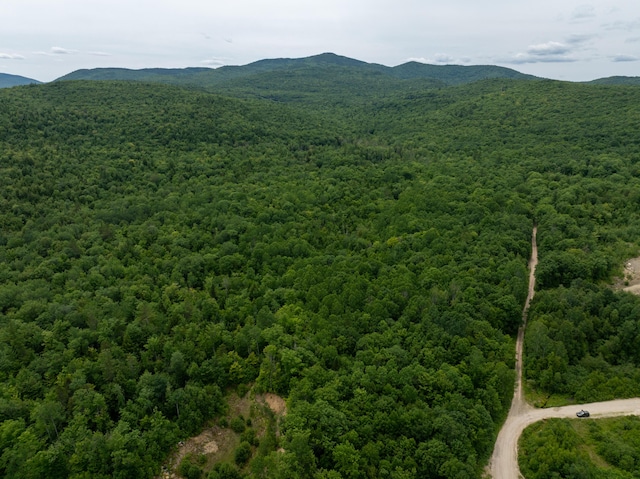 MAP10 Dow Brook Rd, Peru, ME 04290 - photo 16