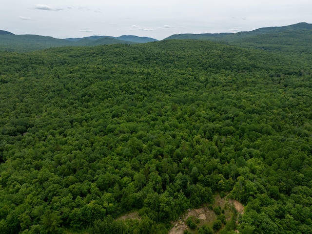 MAP10 Dow Brook Rd, Peru, ME 04290 - photo 17