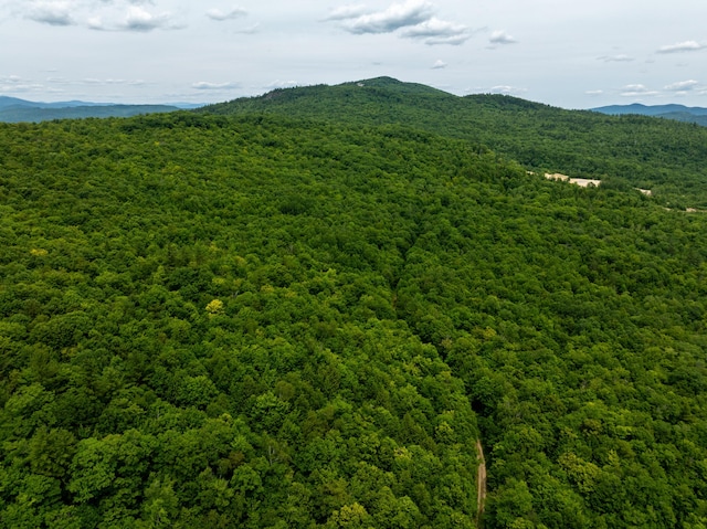 MAP10 Dow Brook Rd, Peru, ME 04290 - photo 18