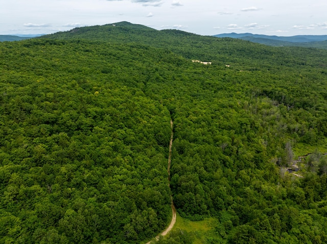 MAP10 Dow Brook Rd, Peru, ME 04290 - photo 19