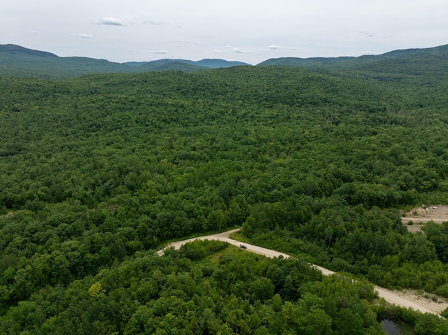 MAP10 Dow Brook Rd, Peru, ME 04290 - photo 20
