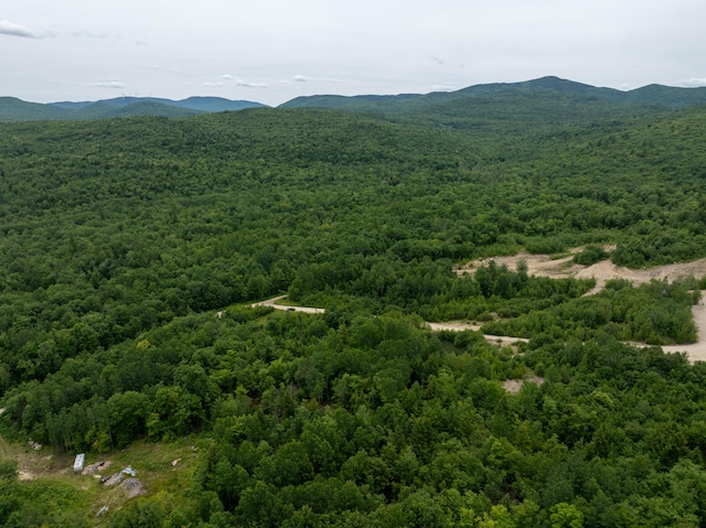 MAP10 Dow Brook Rd, Peru, ME 04290 - photo 21