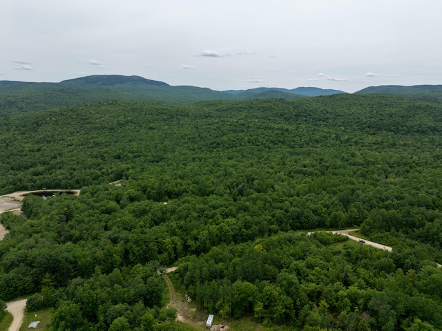 MAP10 Dow Brook Rd, Peru, ME 04290 - photo 22