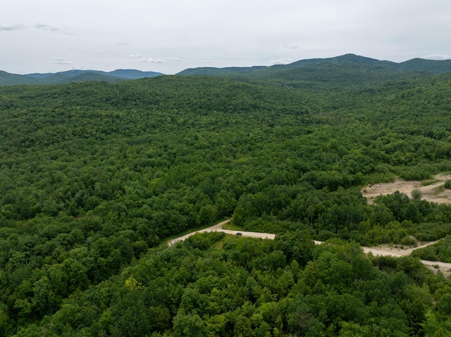 MAP10 Dow Brook Rd, Peru, ME 04290 - photo 23