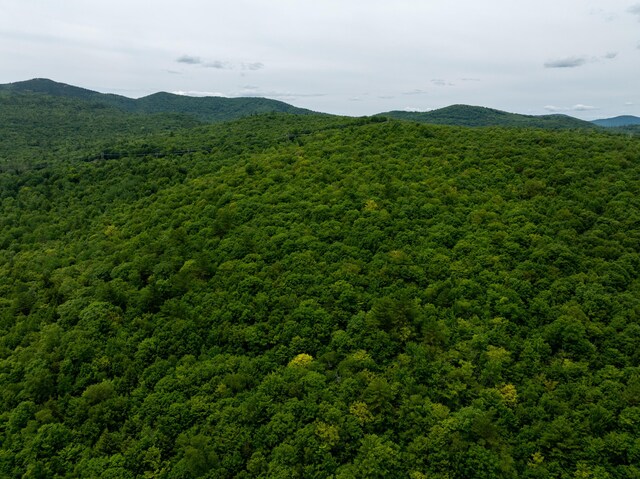 MAP10 Dow Brook Rd, Peru, ME 04290 - photo 24