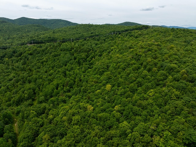 MAP10 Dow Brook Rd, Peru, ME 04290 - photo 25