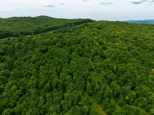 MAP10 Dow Brook Rd, Peru, ME 04290 - photo 26