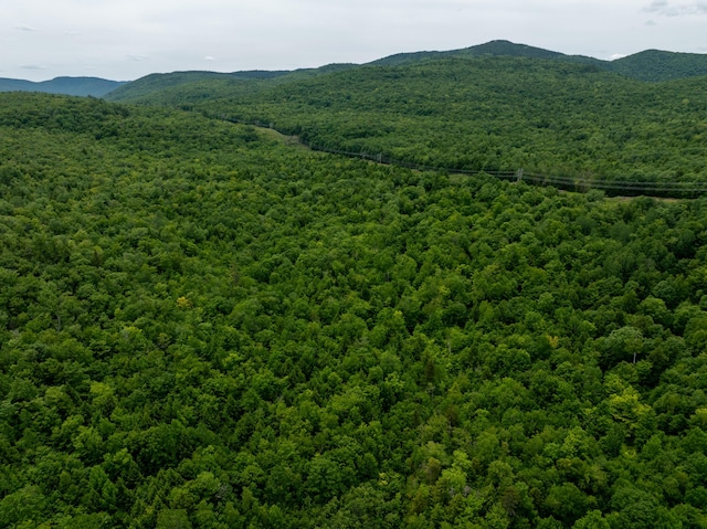 MAP10 Dow Brook Rd, Peru, ME 04290 - photo 27
