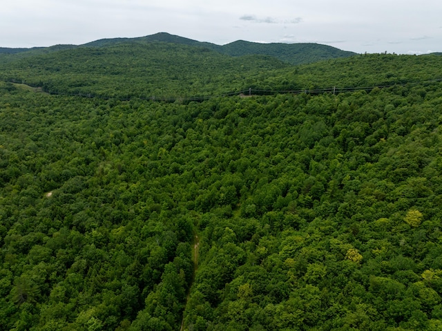 MAP10 Dow Brook Rd, Peru, ME 04290 - photo 28