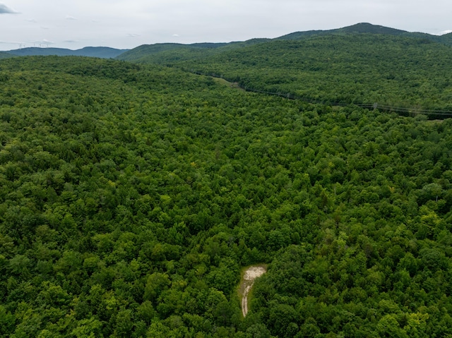 MAP10 Dow Brook Rd, Peru, ME 04290 - photo 29