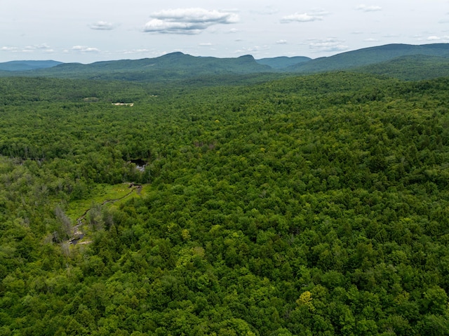 MAP10 Dow Brook Rd, Peru, ME 04290 - photo 30
