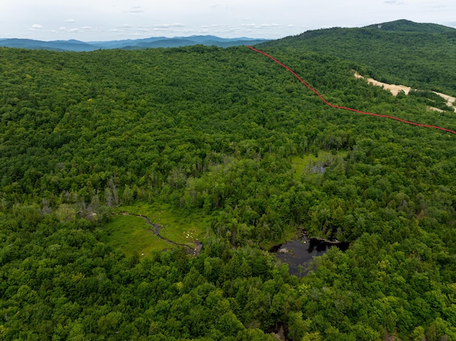 MAP10 Dow Brook Rd, Peru, ME 04290 - photo 32